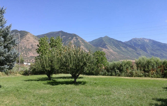 3 bedroom 1 bath home in south Spanish Fork