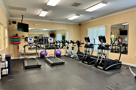 the gym is equipped with cardio equipment and free weights