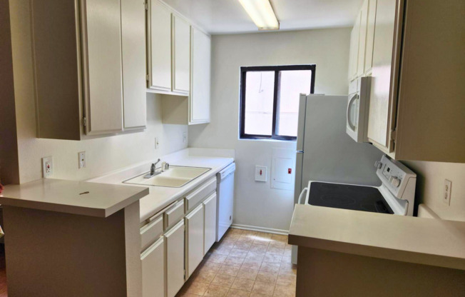 Studio, 1 bath, 500 sqft, $2,095