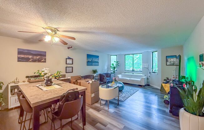 Comfortable, Modern & Full of Natural Light - 2bd/2ba Condo for Rent!