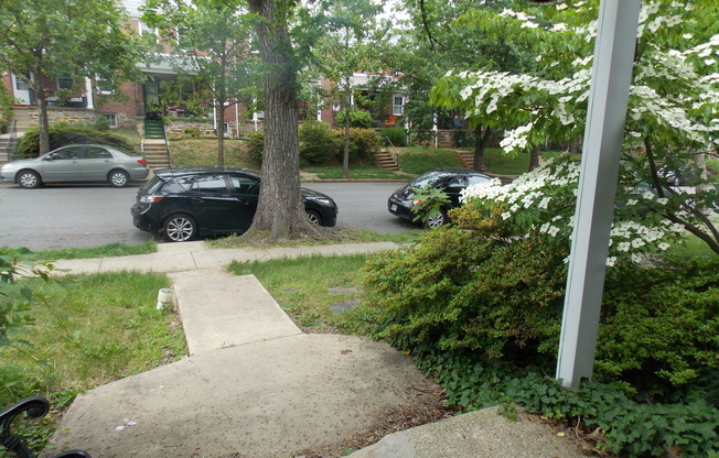 907 Chestnut Hill Ave.