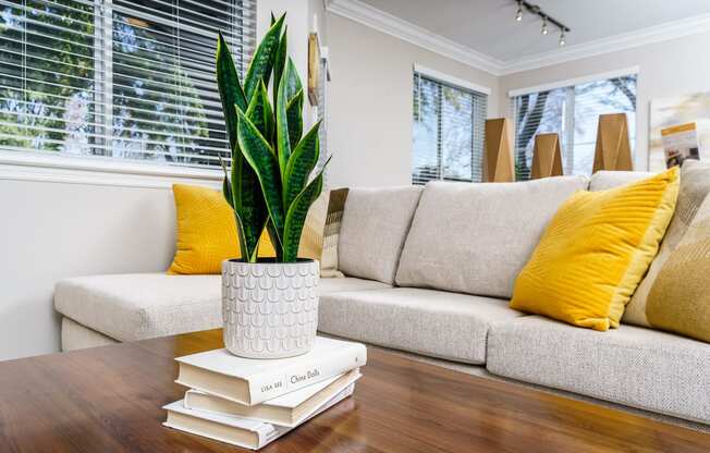 furnished living room