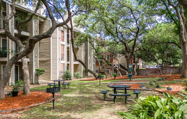A tree-filled courtyard with a picnic table in the middle.