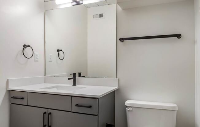 a bathroom with a sink and a mirror and a toilet at Highland Mill Lofts, North Carolina