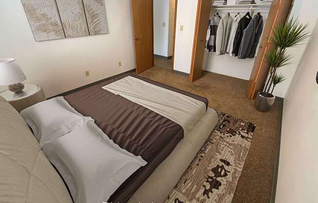 A bedroom with a bed, a lamp, a rug, a plant, and a closet with clothes.