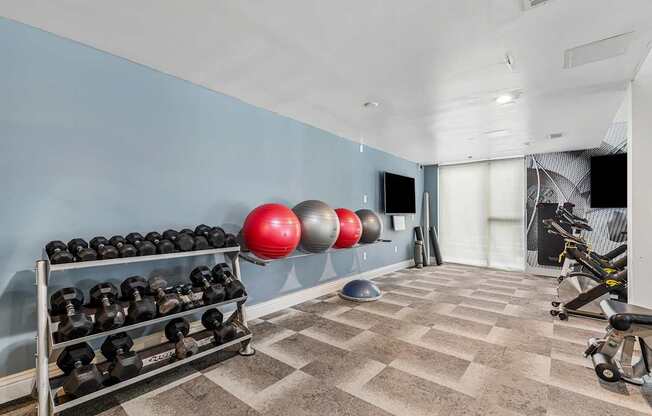 A room with a blue wall and a rack of dumbbells.