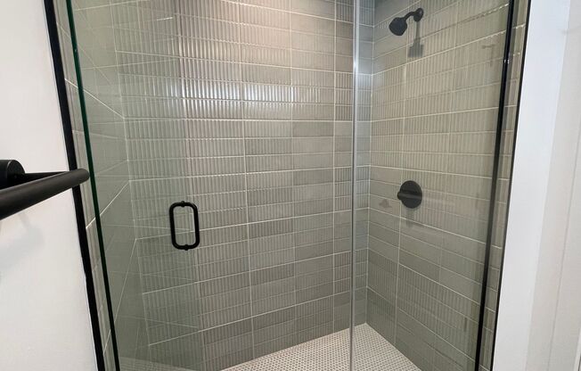 1 bed, 1 bath, 539 sqft, $1,949, Unit 207