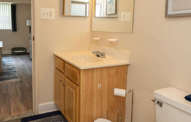 A bathroom with a white toilet, a sink with a mirror above it, and a rug on the floor.