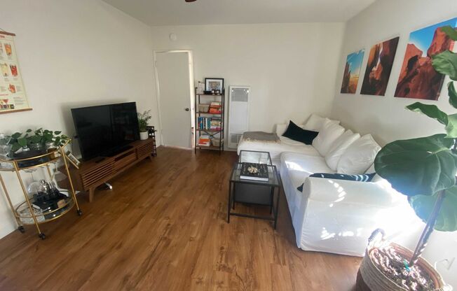 1 bed, 1 bath, $2,495, Unit Unit 5