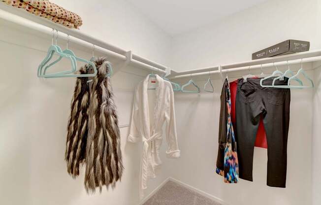 closet at Parc One, Santee, 92071