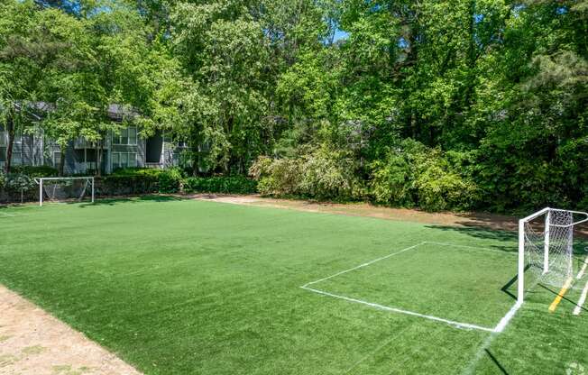 a soccer field on a lawn in front of some trees