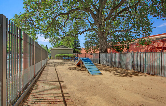 Broafleaf Apartments  |  Bark Park and Dog Run