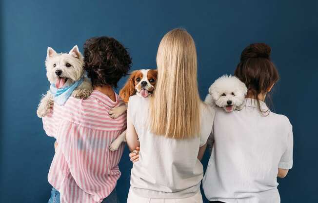 four women with dogs standing in front of a blue wallat The Falls of Portofino, Naples, 34119