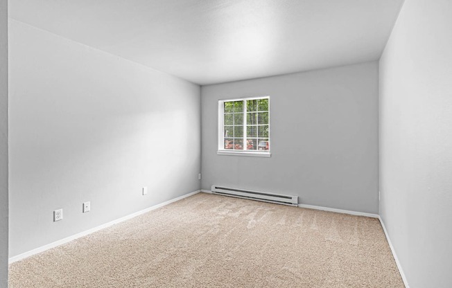 A room with a window and a carpeted floor.