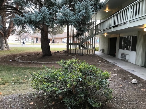 2 beds, 1 bath, 950 sqft, $1,125, Unit Unit 7