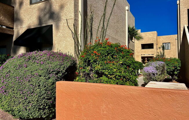 Studio, 1 bath, 535 sqft, $725, Unit 205