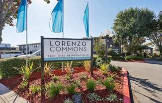 Lorenzo Commons