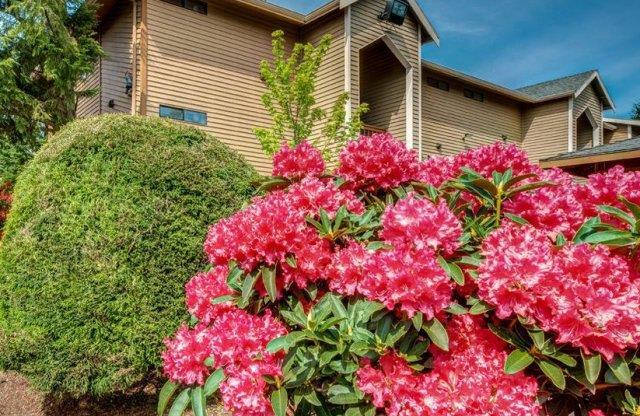 Chambers Creek Building Exterior & Floral Landscaping