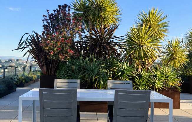 A table with two chairs is set on a patio with a tree in the background.