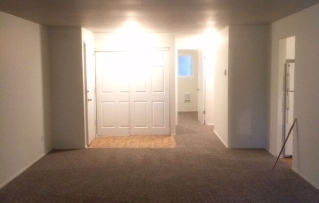 Studio, 1 bath, 450 sqft, $1,175, Unit A-5