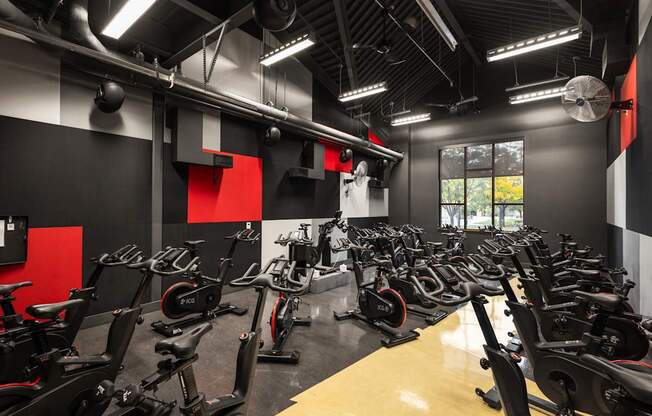 A gym with a row of stationary bikes.