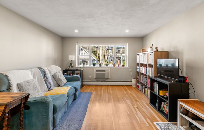 Modern Kitchen - Natural Light - Close to T - Off-Street Parking