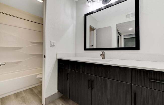 A bathroom with a white sink and a mirror.