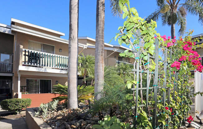 Viewing dwelling building through courtyard foliage