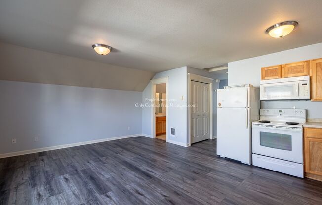 Studio, 1 bath, $1,299