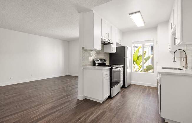 Palms in San Diego, CA