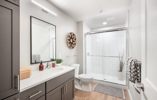 a bathroom with a shower and a sink and a toilet