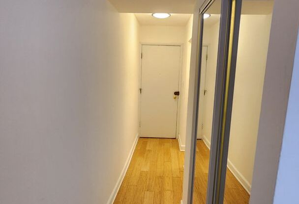 Studio, 1 bath, 350 sqft, $1,250, Unit 105