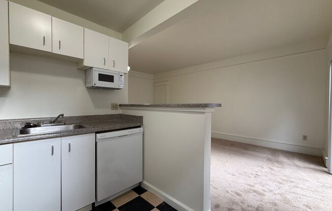 Studio, 1 bath, 405 sqft, $1,195, Unit 306