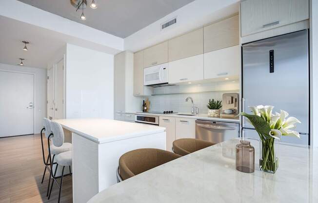 Alton District Luxury Apartments in Washington, DC Model Kitchen
