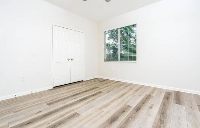 Spacious Room with Closet