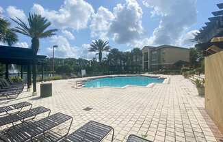 Swimming pool with lounge seating surrounded by palm trees
