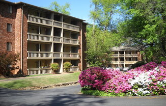 **FALL PRELEASING** Spacious 1/1 within walking distance to campus and downtown!