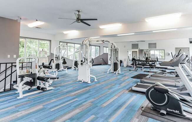 a gym with cardio machines and weights on a blue and white rug