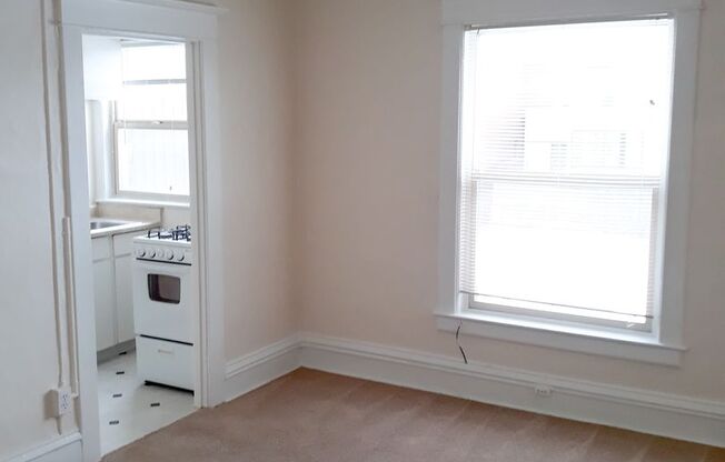1 bed, 1 bath, 410 sqft, $1,495, Unit 303