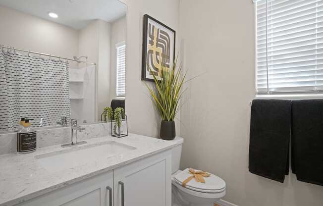 a bathroom with a sink and a toilet and a mirror