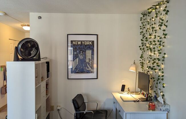 Studio, 1 bath, 431 sqft, $2,600, Unit 1503