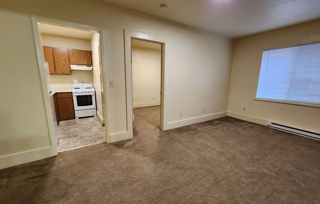 1 bed, 1 bath, 460 sqft, $1,050, Unit 210