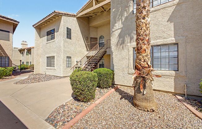 1 bed, 1 bath, $1,175, Unit Unit 1019