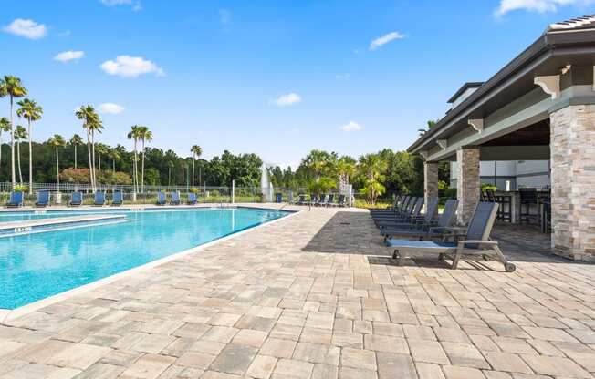 A large swimming pool surrounded by palm trees and lounge chairs.
