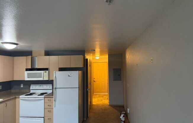 Studio, 1 bath, 440 sqft, $1,445, Unit 304