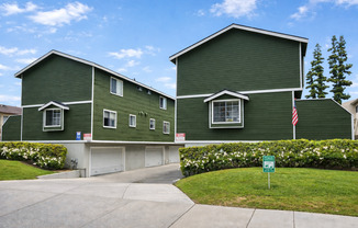 Badillo - 1163 - BLUE