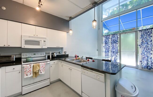 Lofts Oasis #107