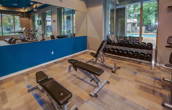 a gym with weights and a blue wall and a row of windows