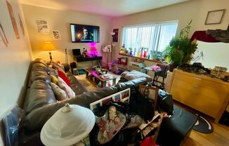 Studio, 1 bath, $895, Unit 202