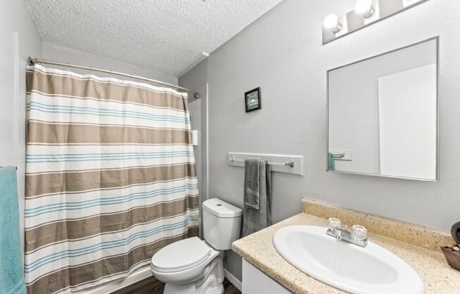 Studio, 1 bath, 400 sqft, $559, Unit P10